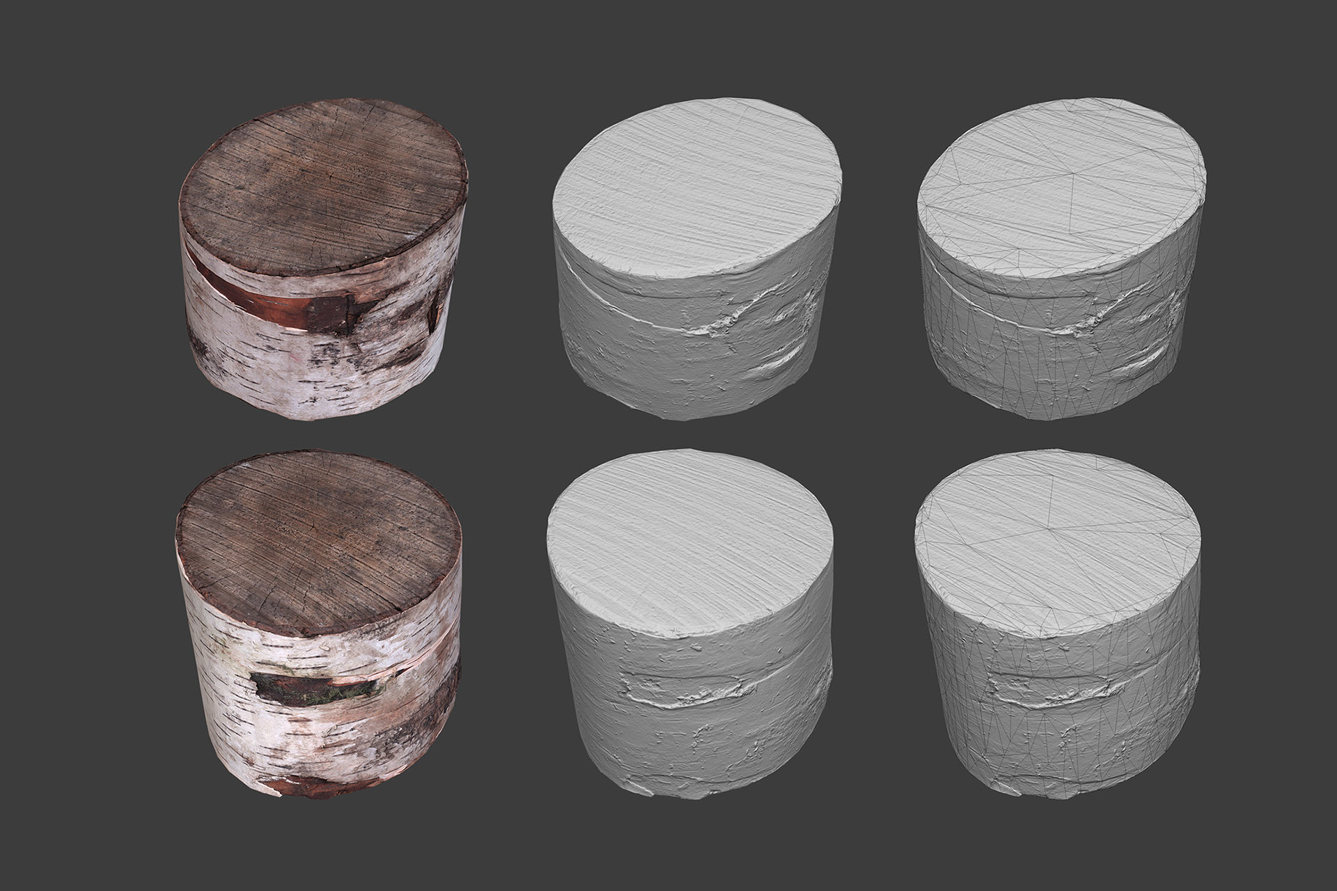 Scanned Logs Planks Sticks and Stumps Low-poly 3D model_36