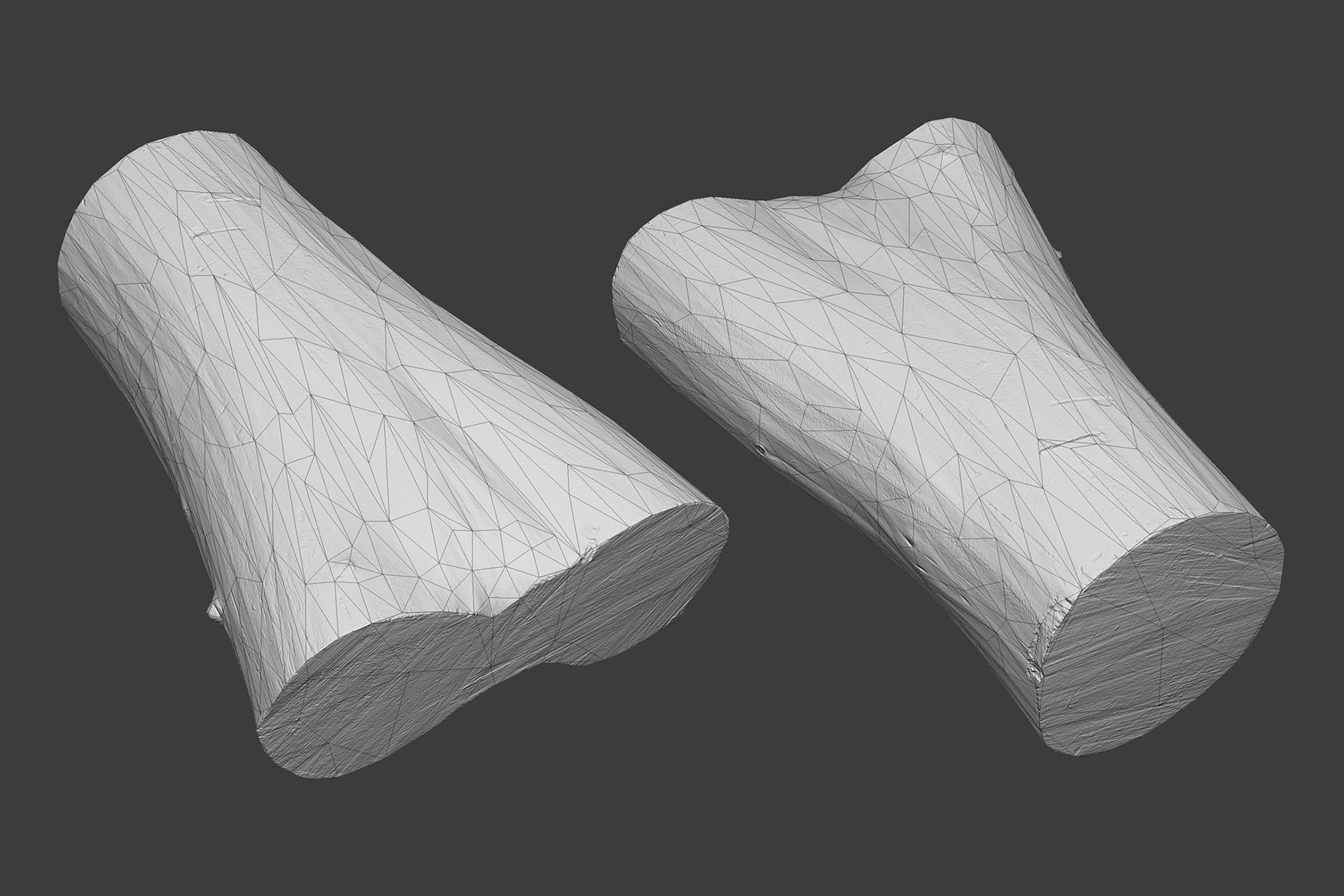 Scanned Logs Planks Sticks and Stumps Low-poly 3D model_25