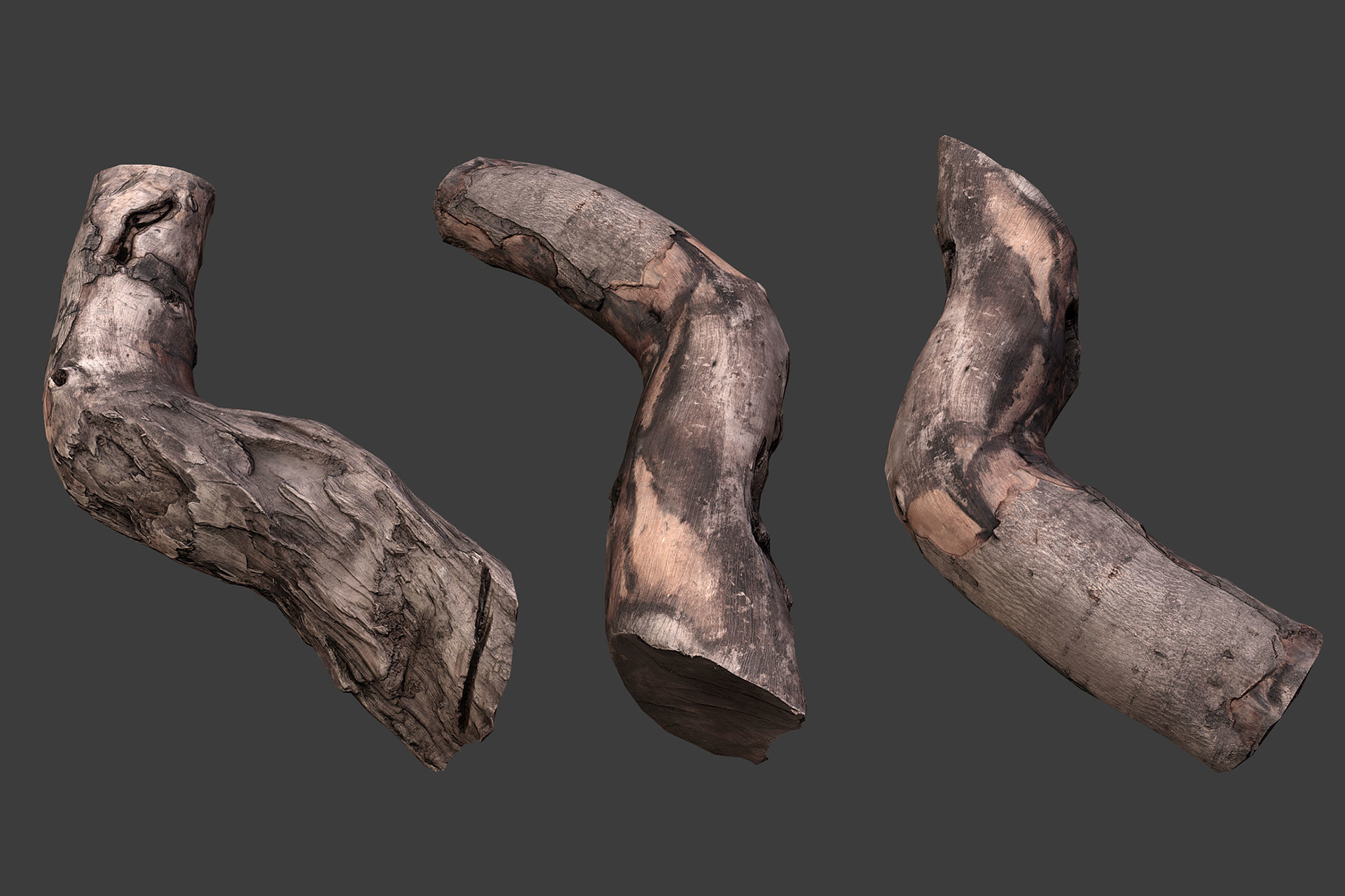 Scanned Logs Planks Sticks and Stumps Low-poly 3D model_8