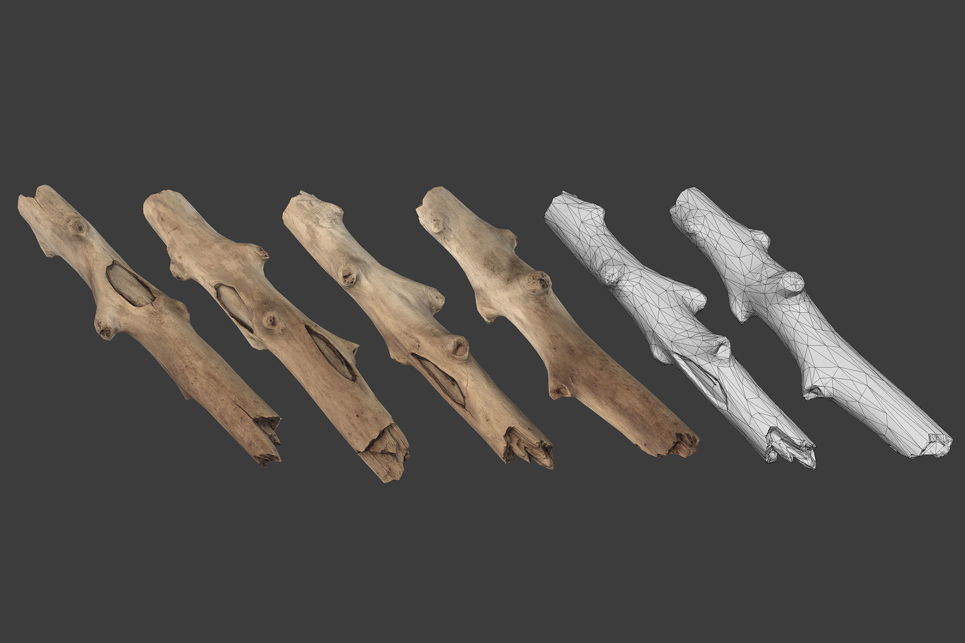 Scanned Logs Planks Sticks and Stumps Low-poly 3D model_42