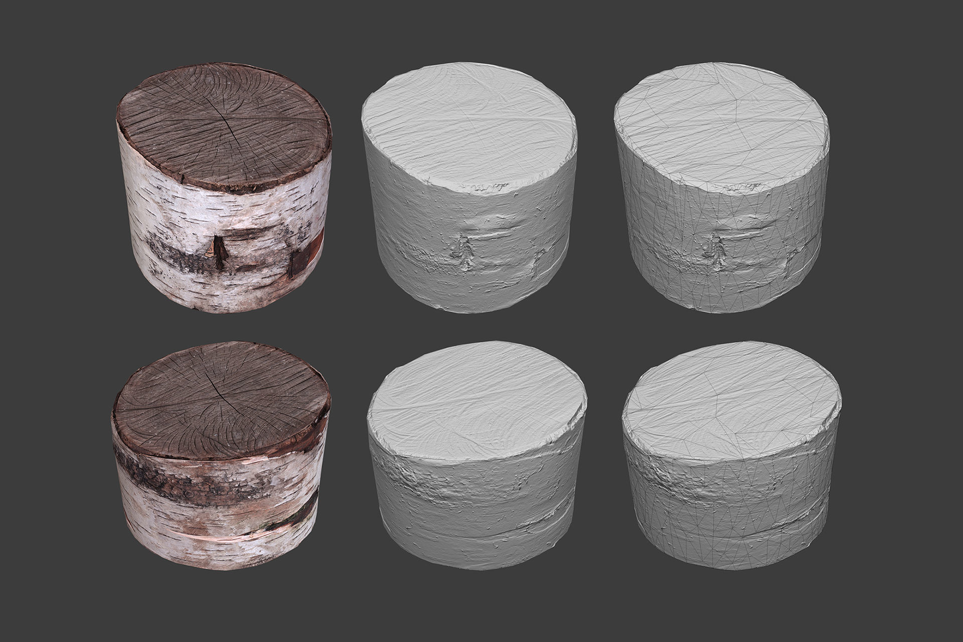 Scanned Logs Planks Sticks and Stumps Low-poly 3D model_35