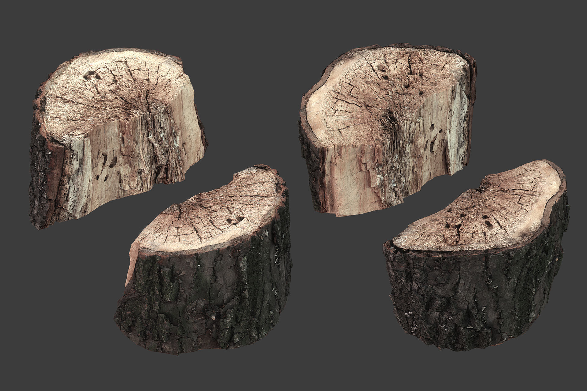 Scanned Logs Planks Sticks and Stumps Low-poly 3D model_31