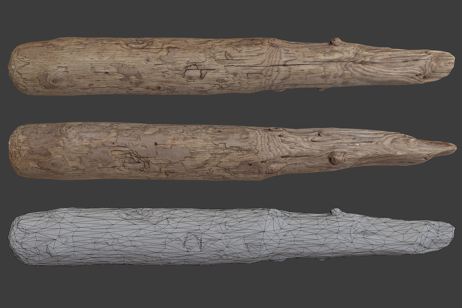 Scanned Logs Planks Sticks and Stumps Low-poly 3D model_12