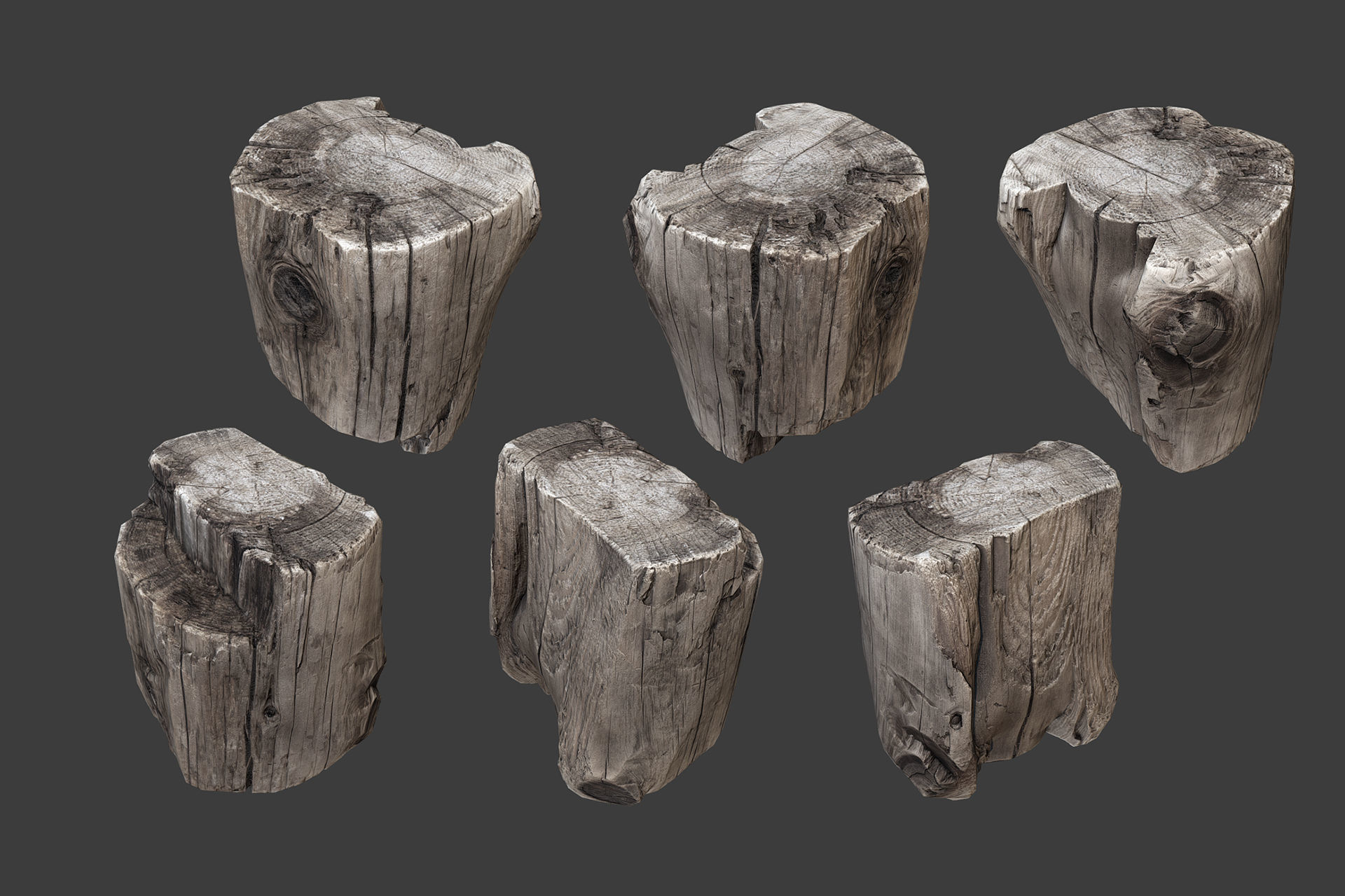 Scanned Logs Planks Sticks and Stumps Low-poly 3D model_3