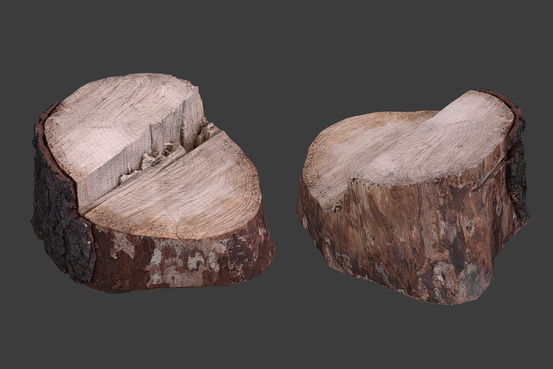 Scanned Logs Planks Sticks and Stumps Low-poly 3D model_33