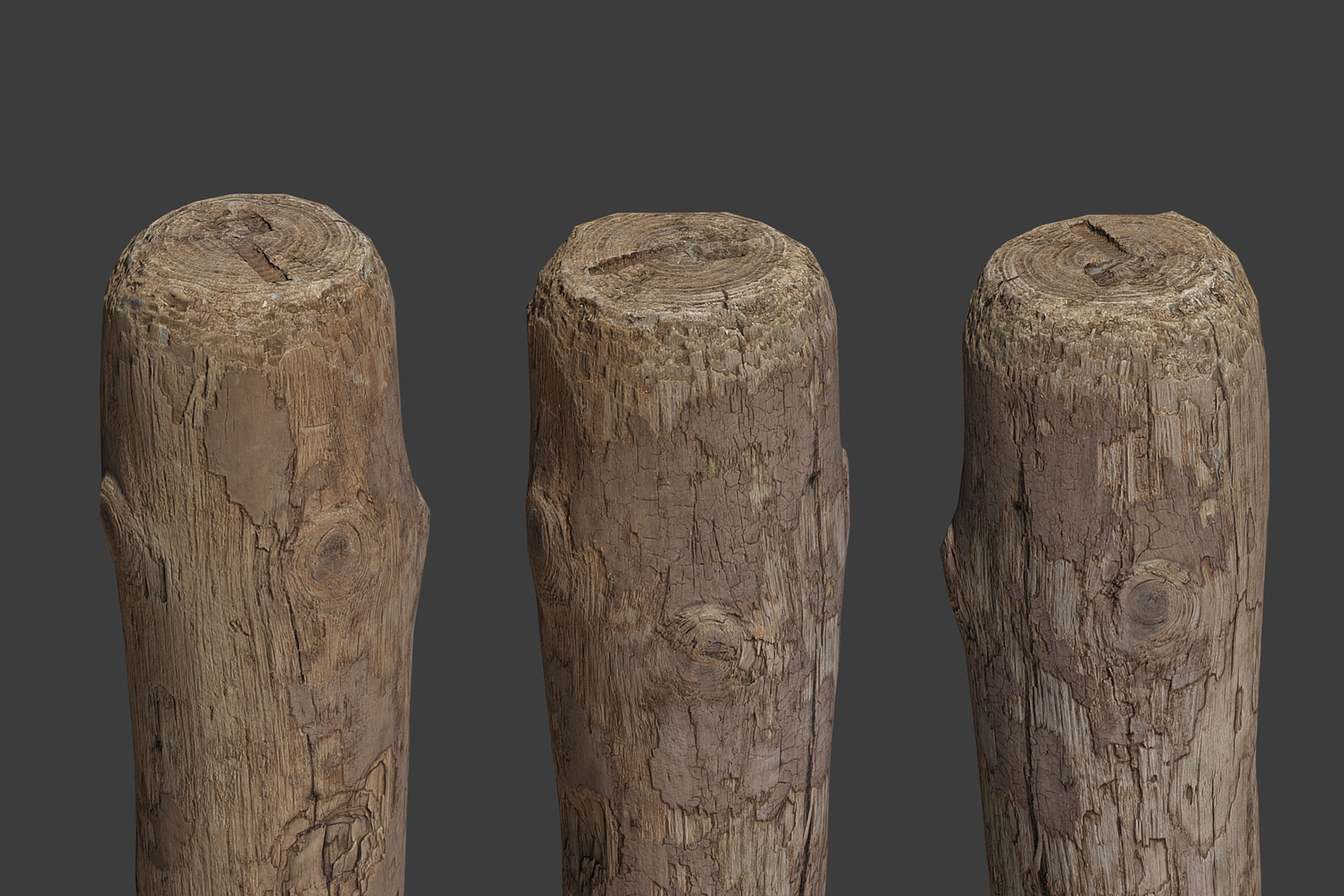 Scanned Logs Planks Sticks and Stumps Low-poly 3D model_13