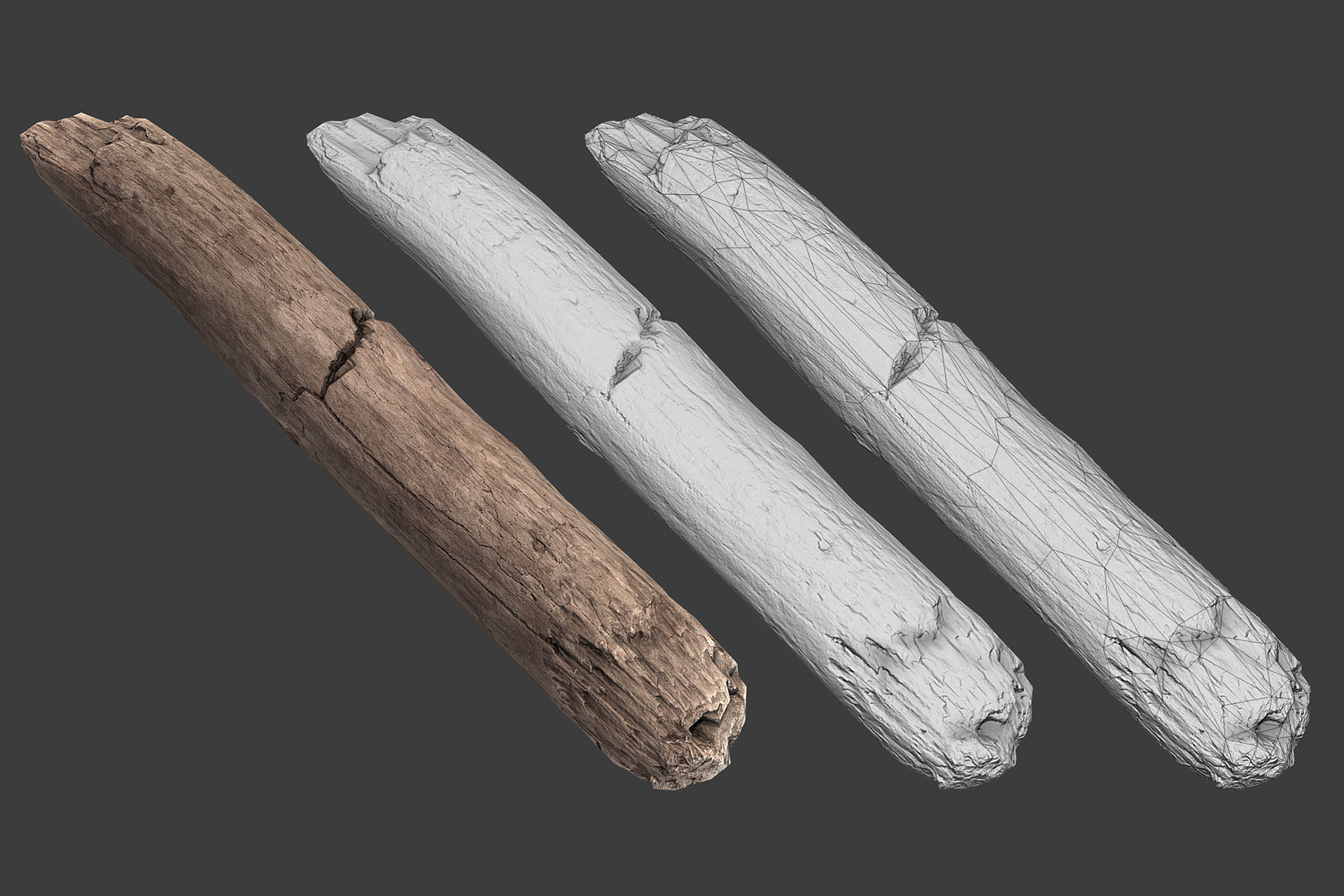 Scanned Logs Planks Sticks and Stumps Low-poly 3D model_40