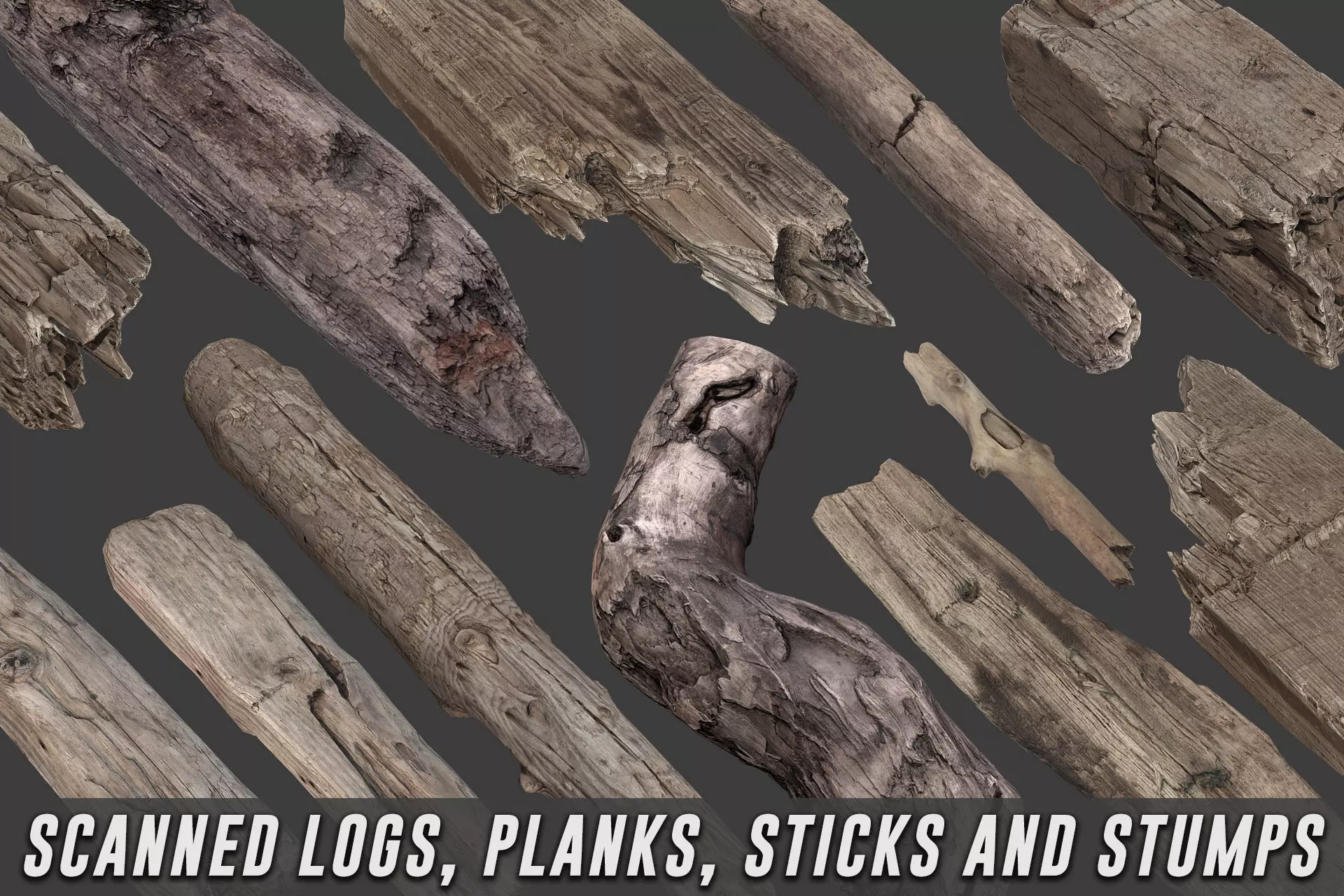 Scanned Logs Planks Sticks and Stumps Low-poly 3D model_0