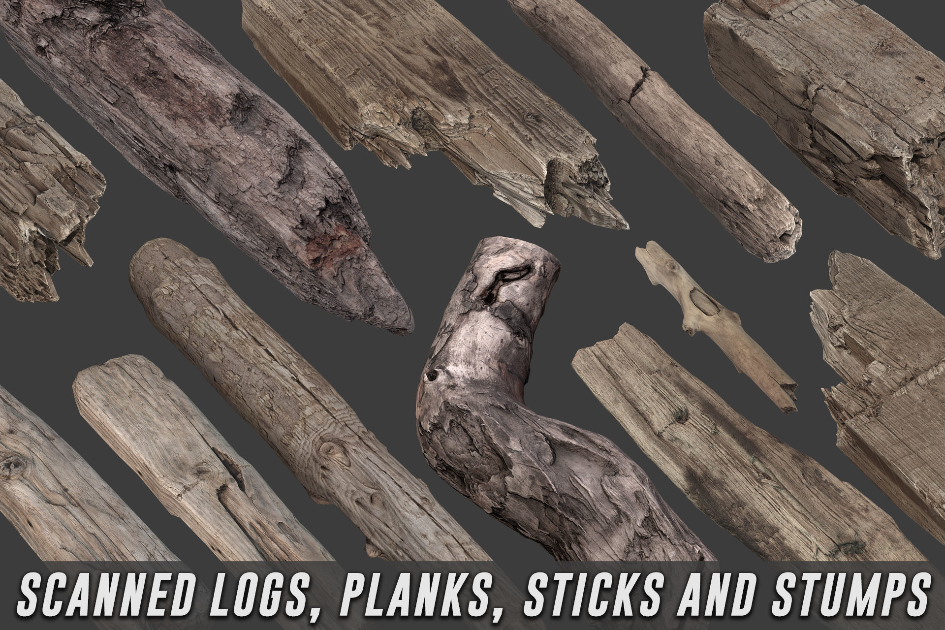 Scanned Logs Planks Sticks and Stumps