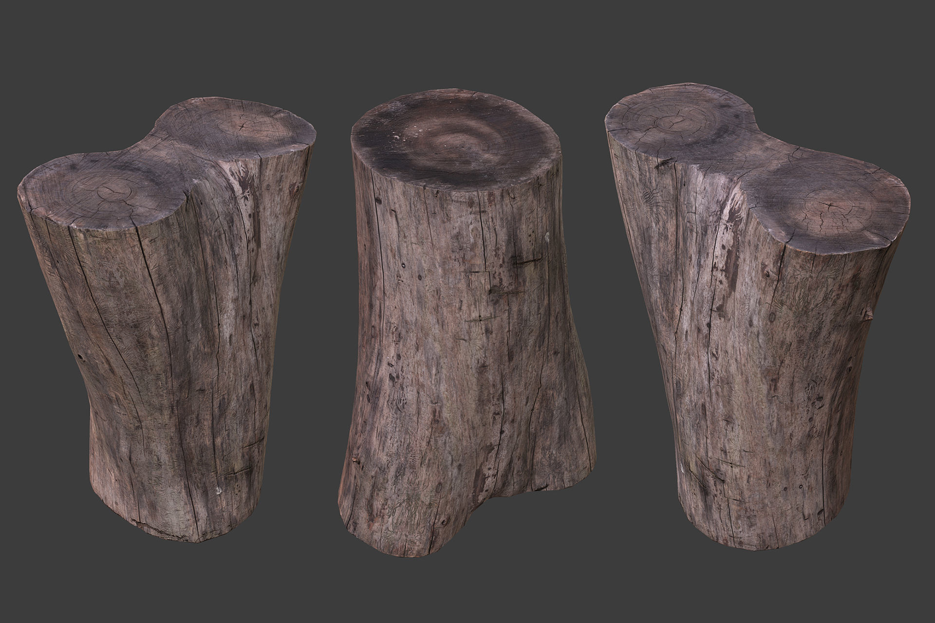 Scanned Logs Planks Sticks and Stumps Low-poly 3D model_26