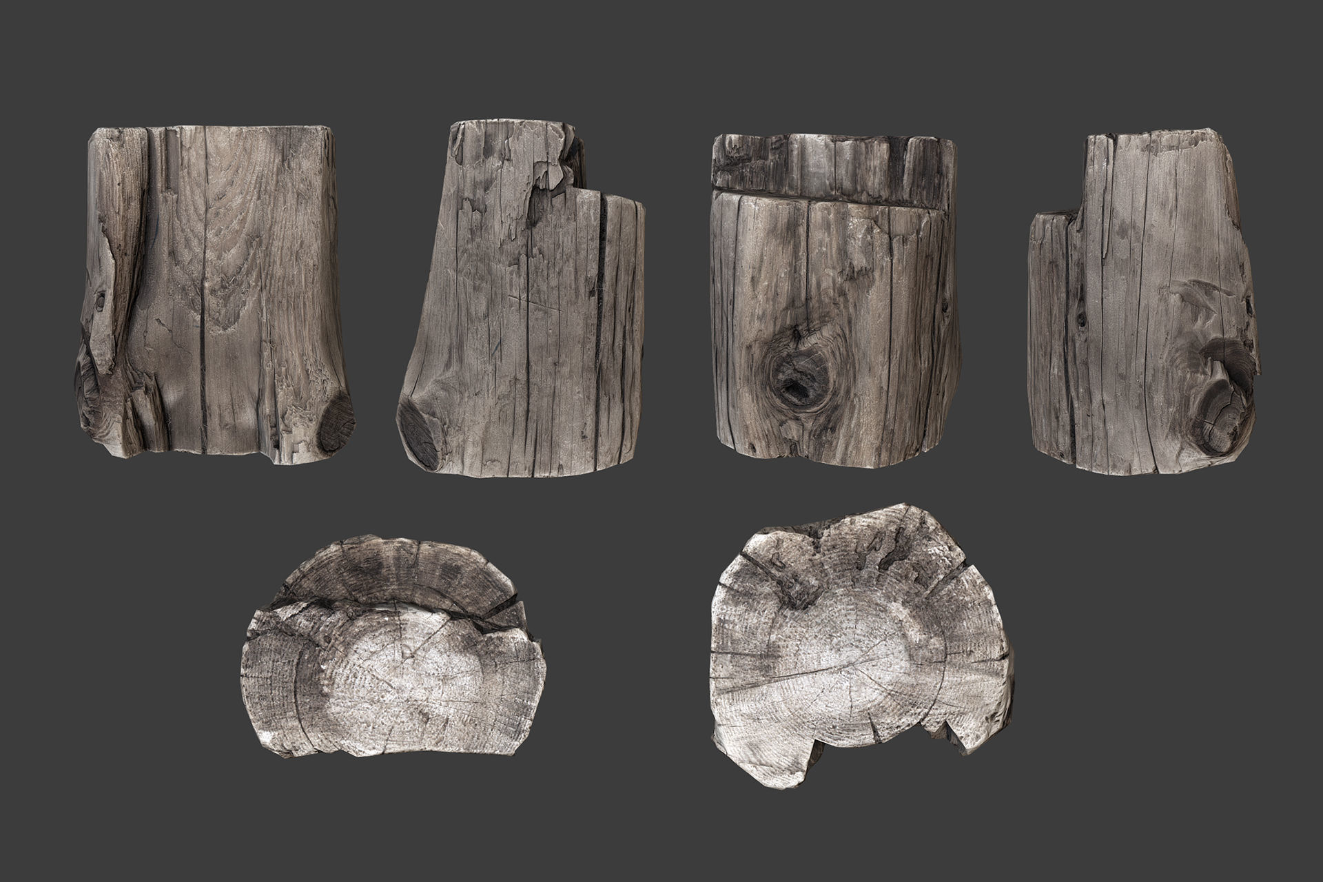Scanned Logs Planks Sticks and Stumps Low-poly 3D model_1