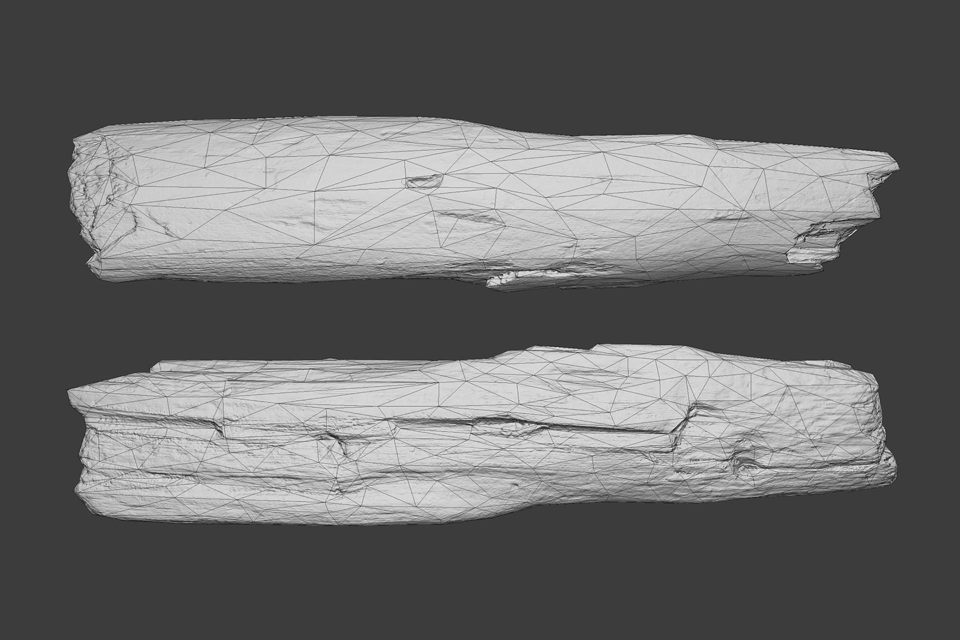Scanned Logs Planks Sticks and Stumps Low-poly 3D model_44