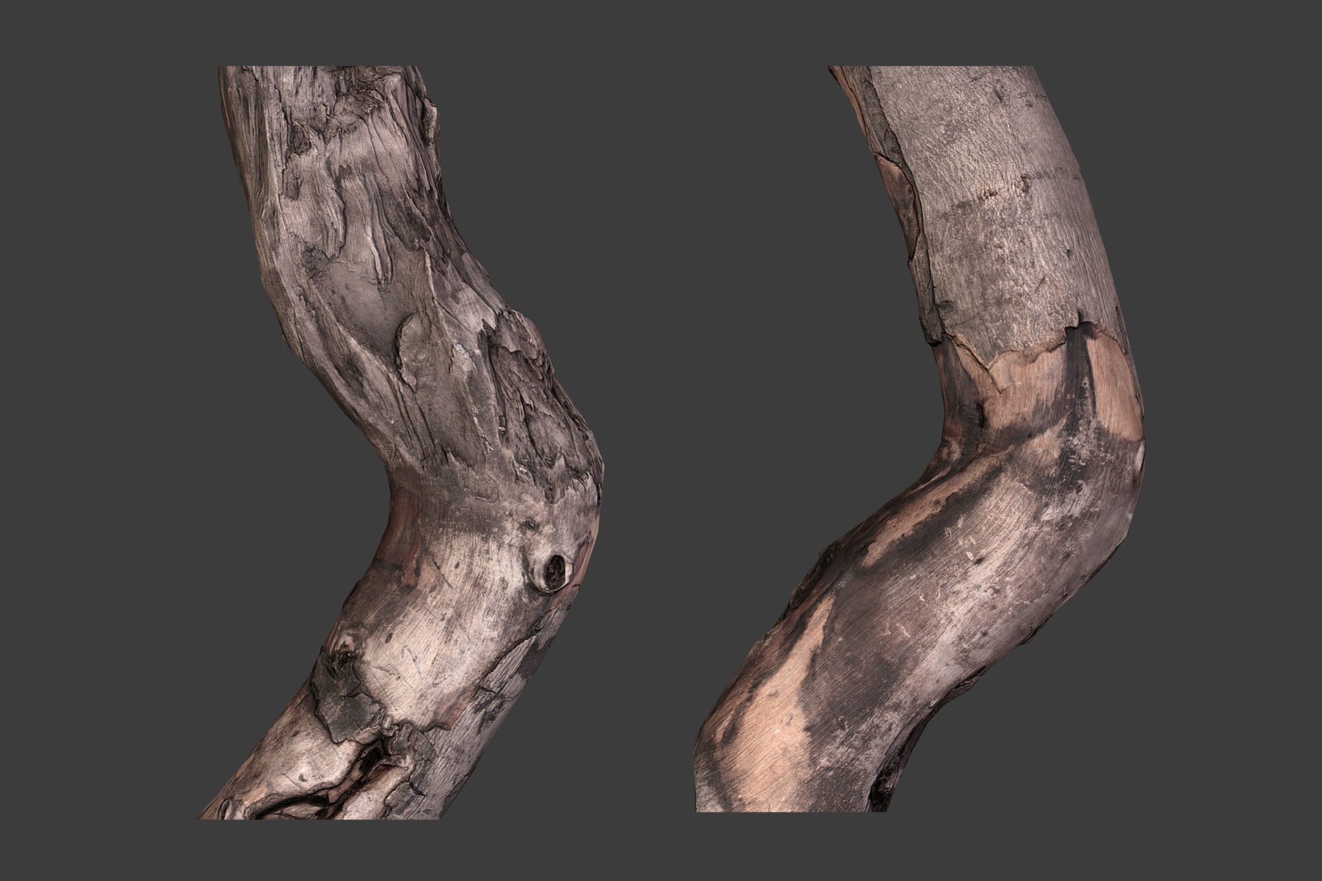 Scanned Logs Planks Sticks and Stumps Low-poly 3D model_10