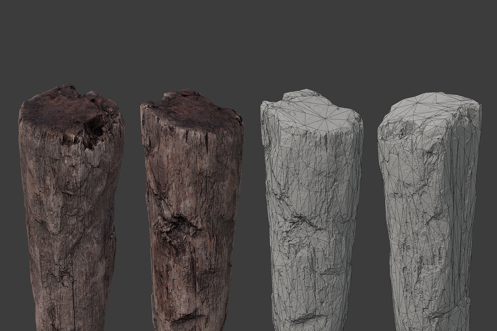 Scanned Logs Planks Sticks and Stumps Low-poly 3D model_7