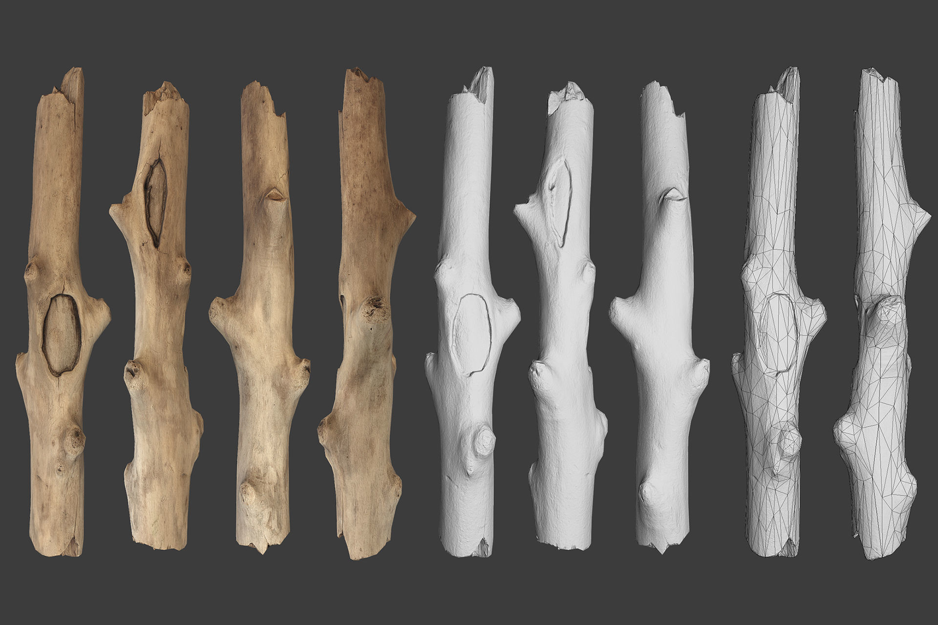 Scanned Logs Planks Sticks and Stumps Low-poly 3D model_41