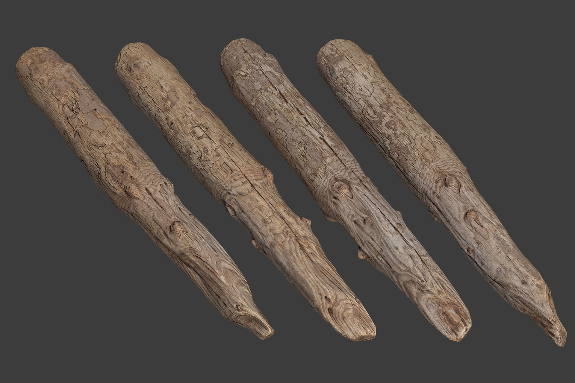 Scanned Logs Planks Sticks and Stumps Low-poly 3D model_16