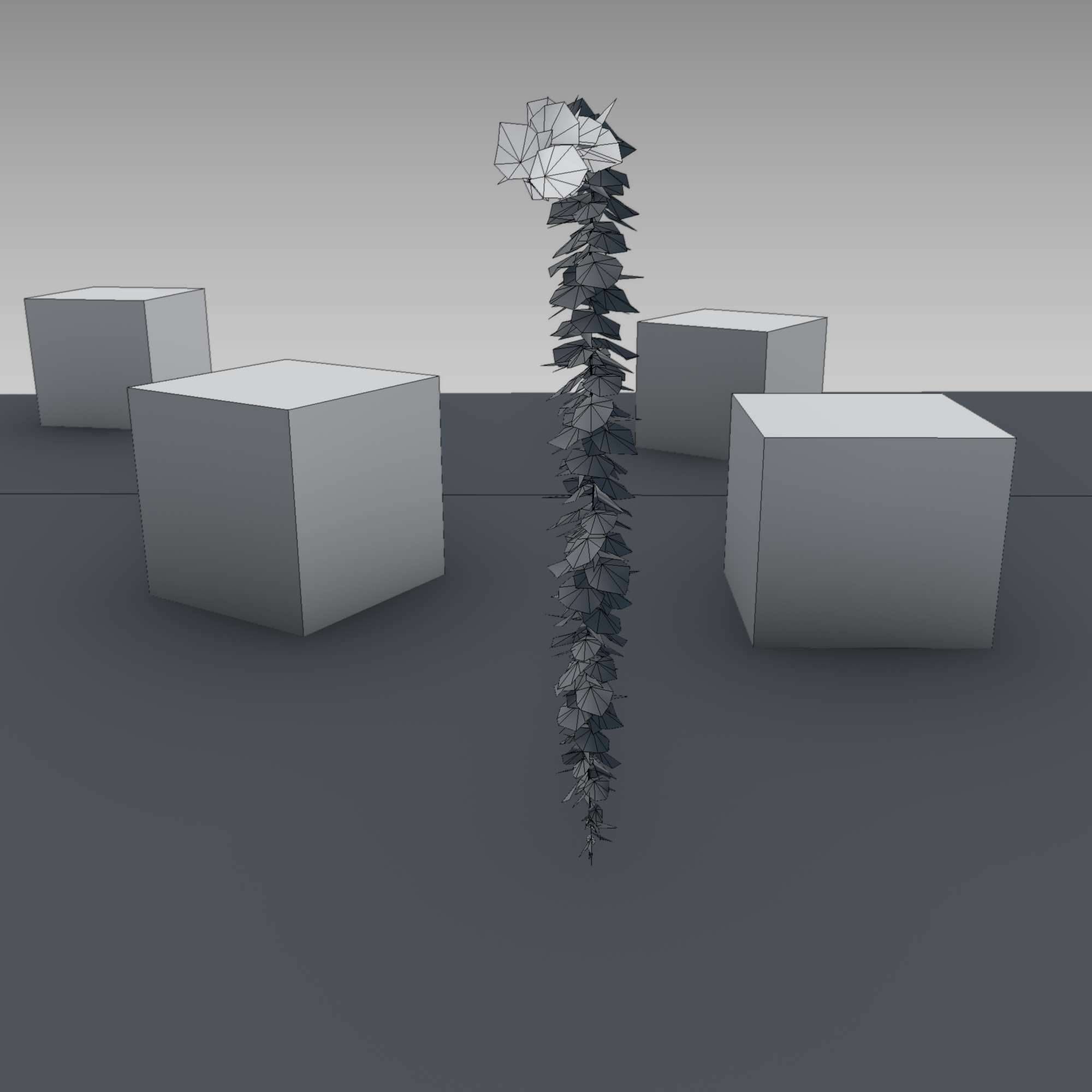 Wild Wine Vine - Parthenocissus - Autumn - Version 11 Low-poly 3D model_19