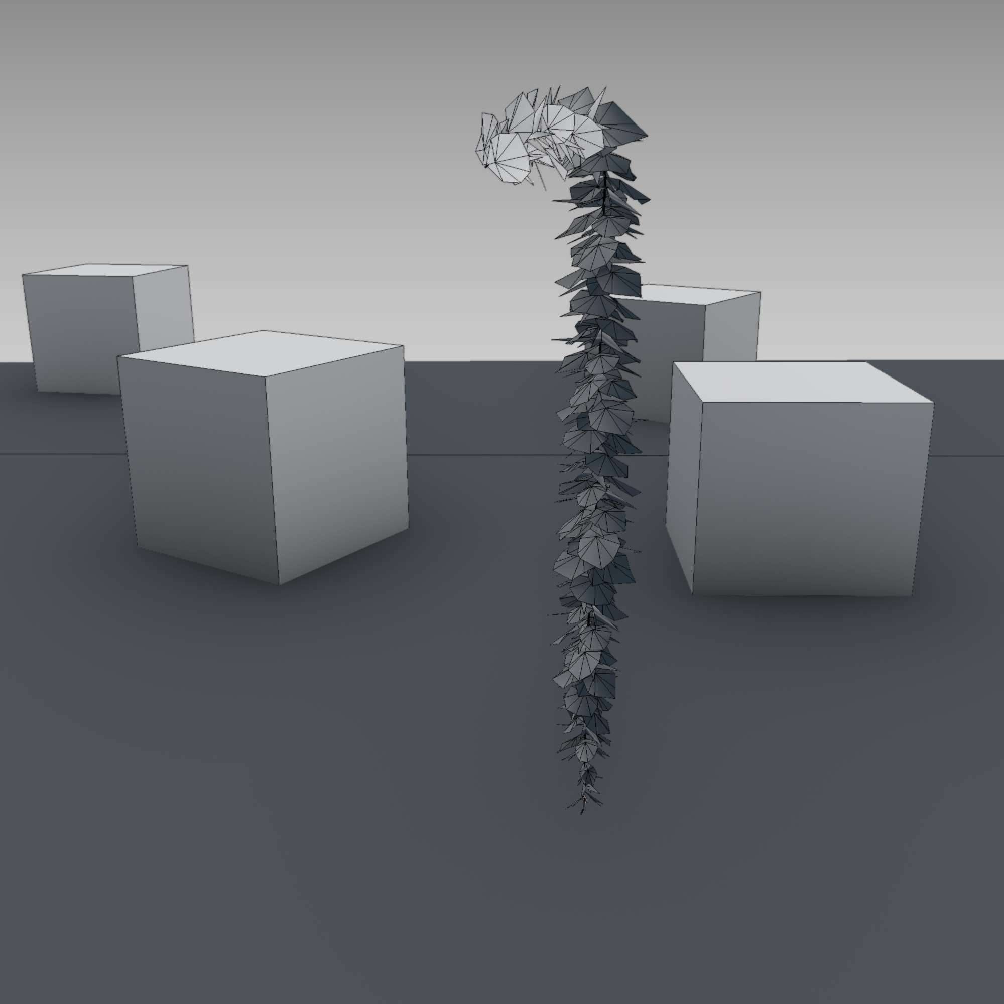 Wild Wine Vine - Parthenocissus - Autumn - Version 11 Low-poly 3D model_11