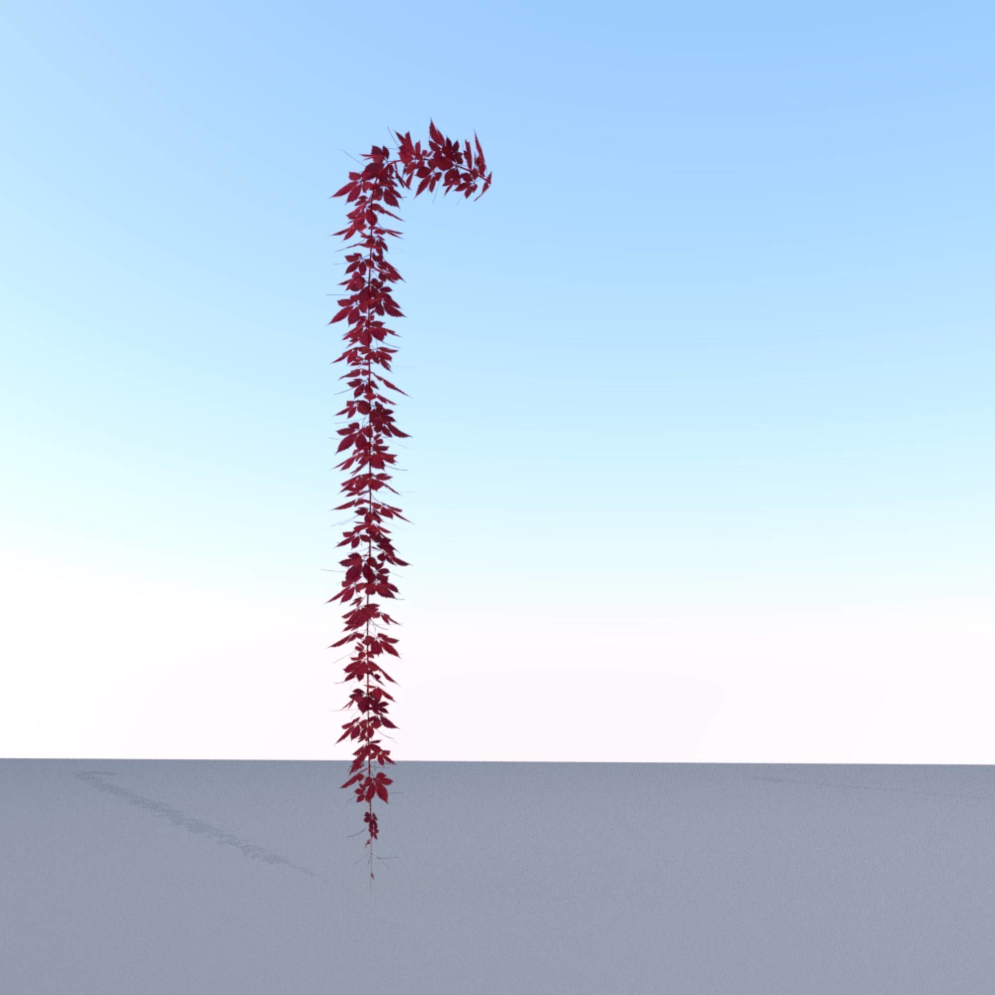 Wild Wine Vine - Parthenocissus - Autumn - Version 11 Low-poly 3D model_22