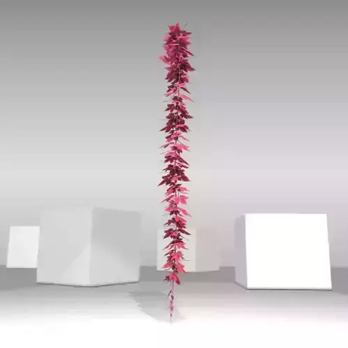 Wild Wine Vine - Parthenocissus - Autumn - Version 11