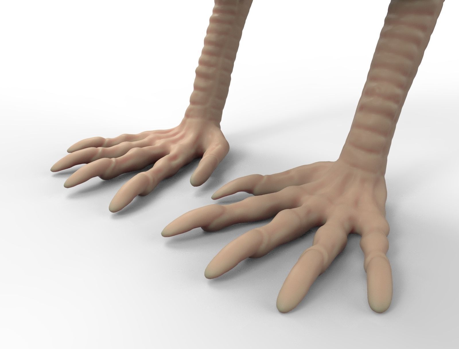 Momo for 3D printing 3D print model_6