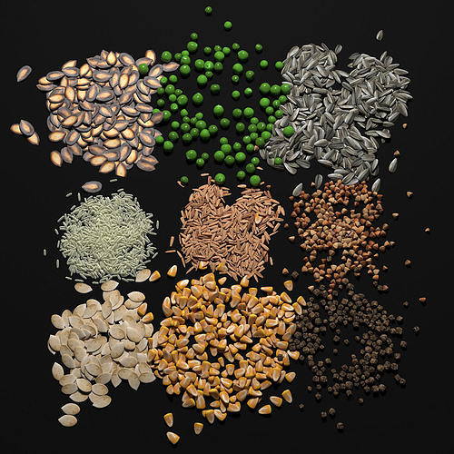 Seeds 3D model