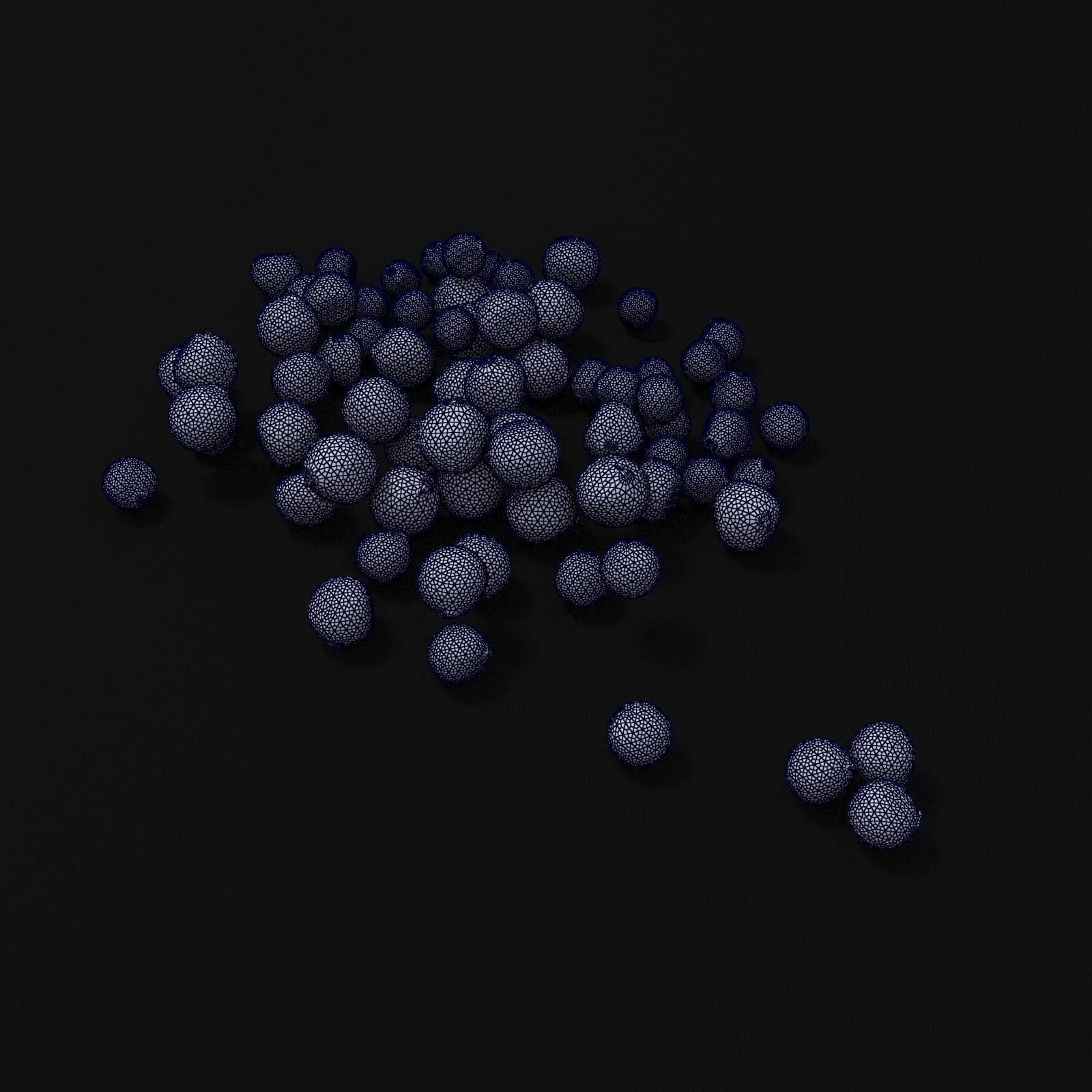 Seeds 3D model_12