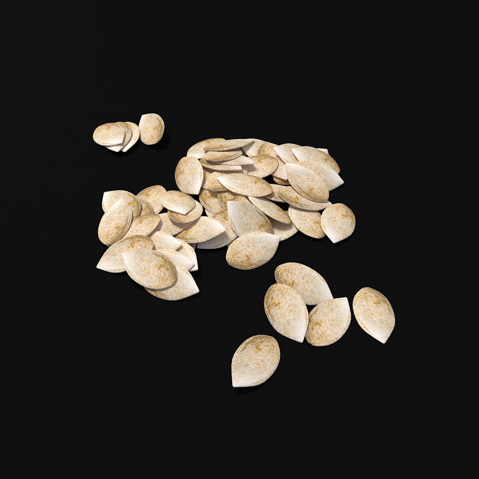 Seeds 3D model_15