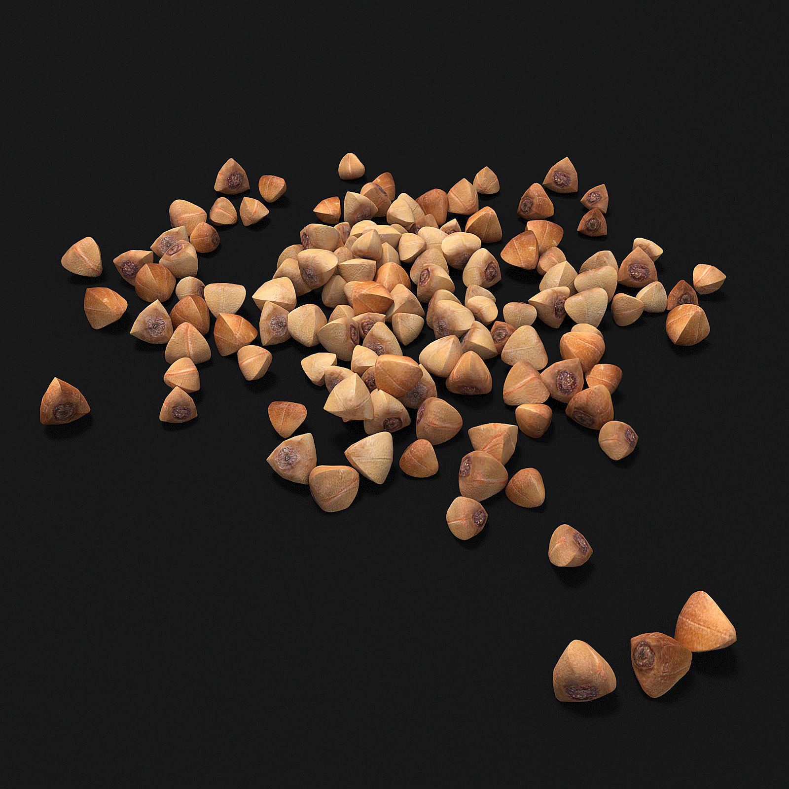 Seeds 3D model_1