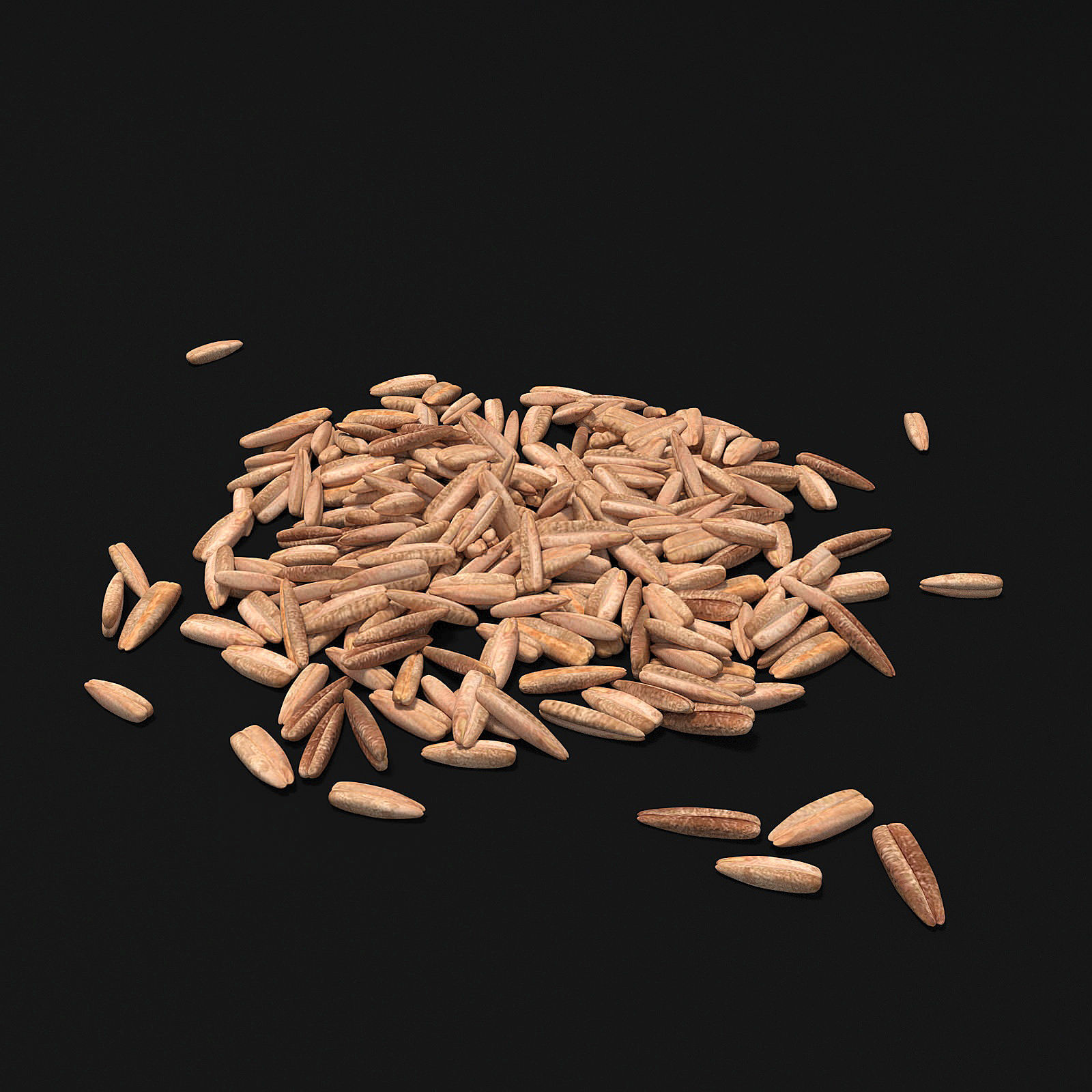 Seeds 3D model_3