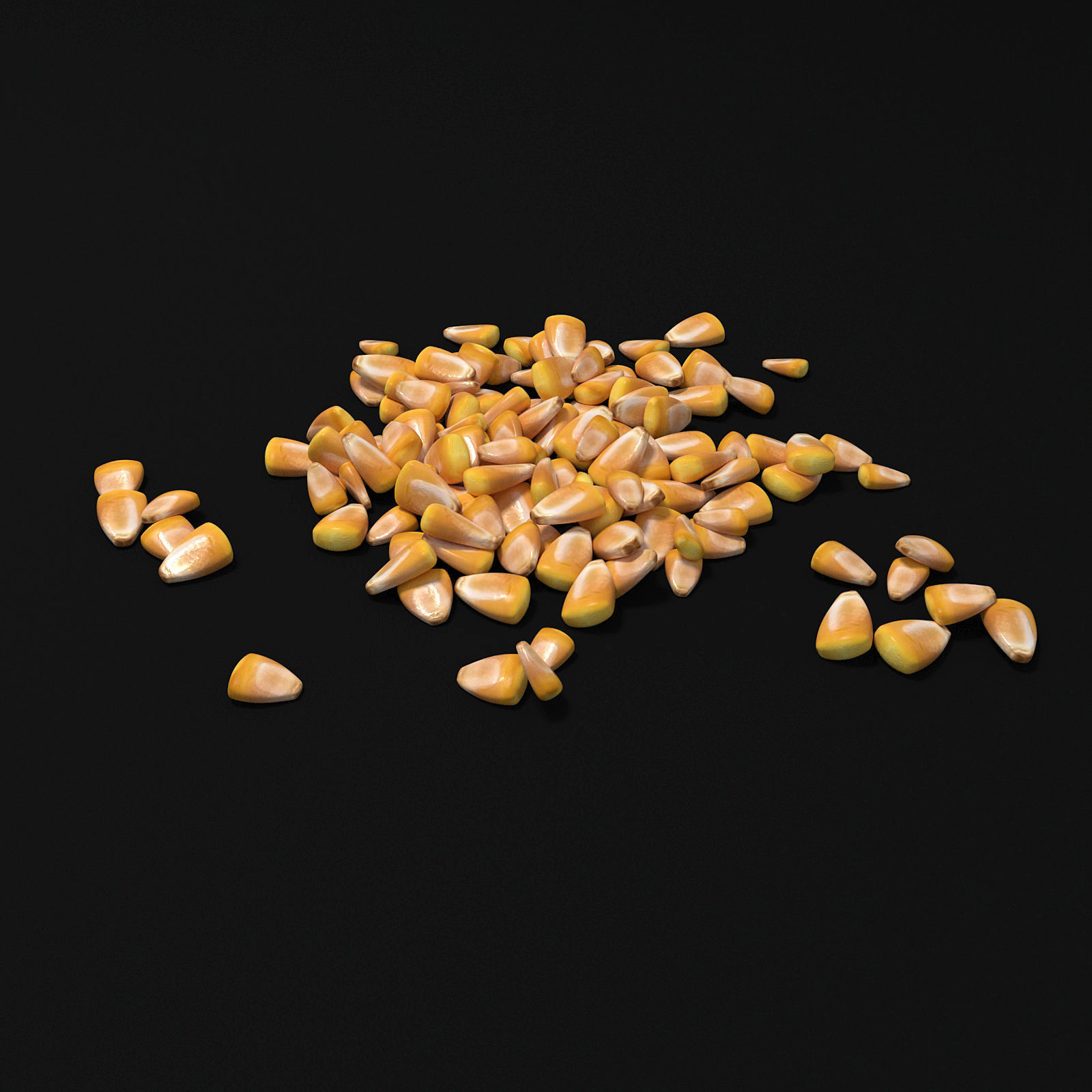 Seeds 3D model_7