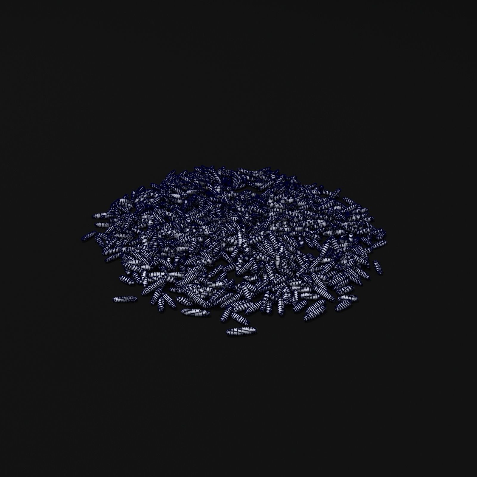 Seeds 3D model_6