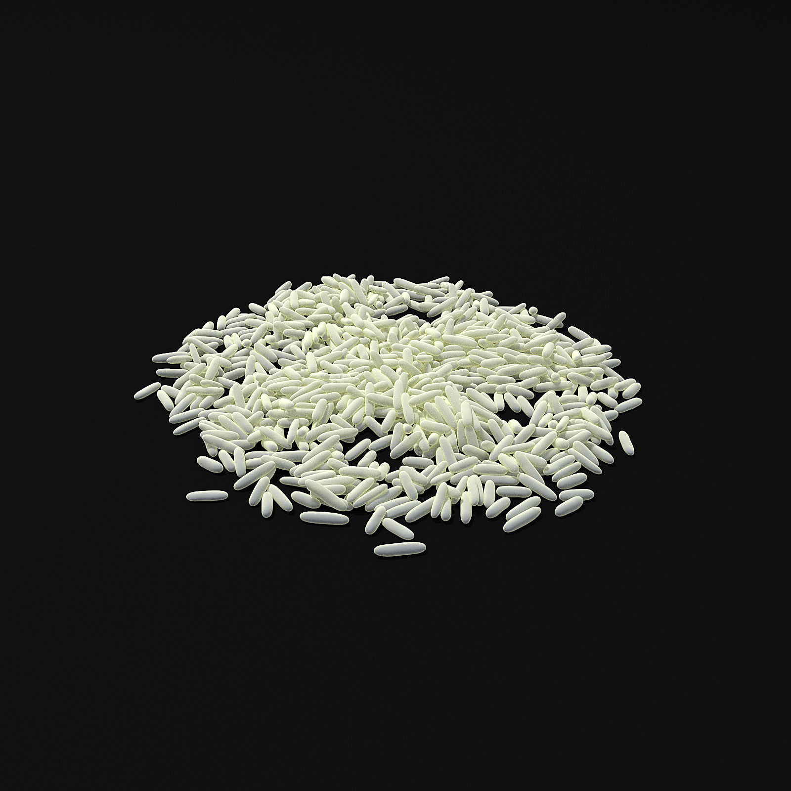Seeds 3D model_5