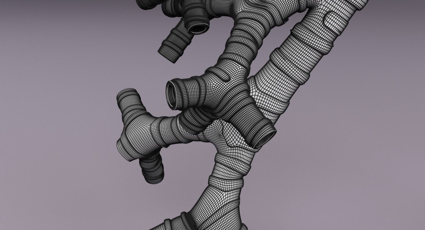 Larynx and trachea 3D model_19