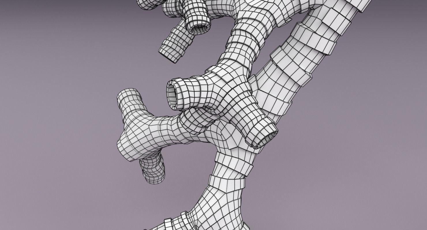 Larynx and trachea 3D model_12