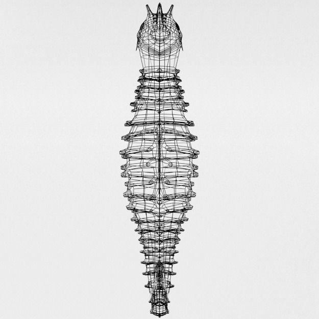 Seahorse Low-poly 3D model_4