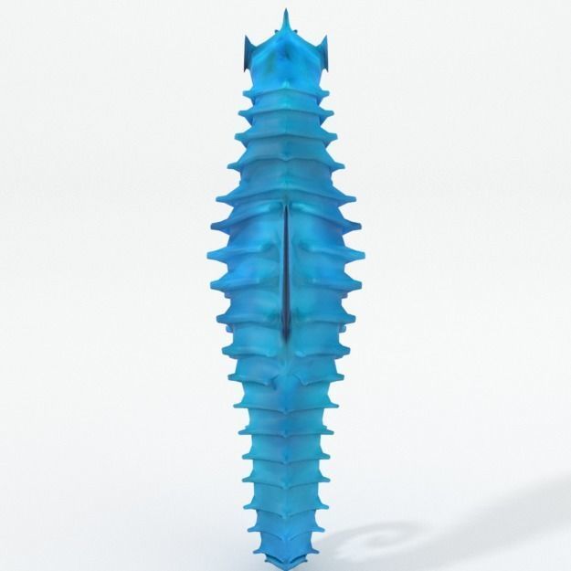 Seahorse Low-poly 3D model_2