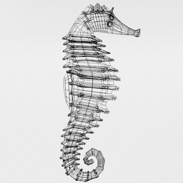 Seahorse Low-poly 3D model_6
