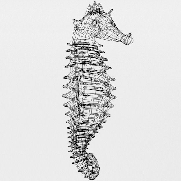 Seahorse Low-poly 3D model_7