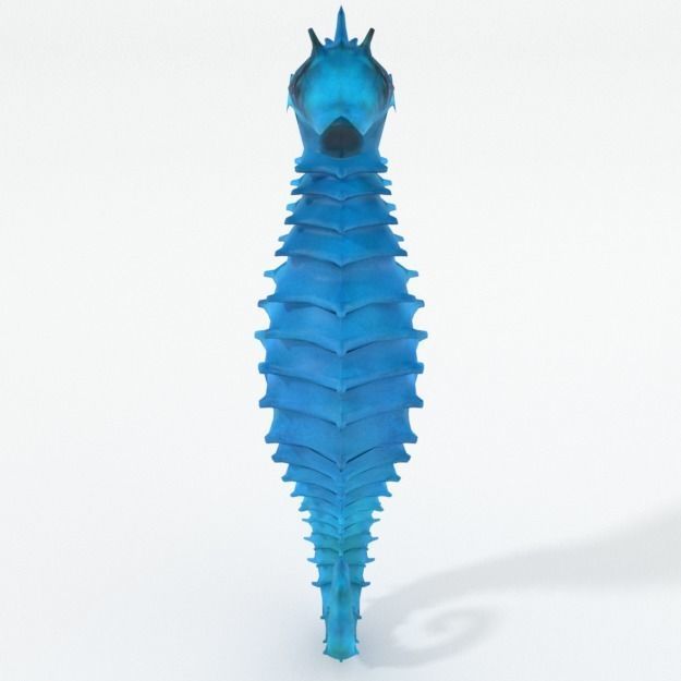 Seahorse Low-poly 3D model_3