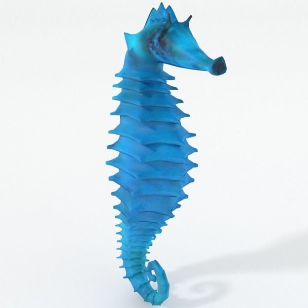 Seahorse Low-poly 3D model_1