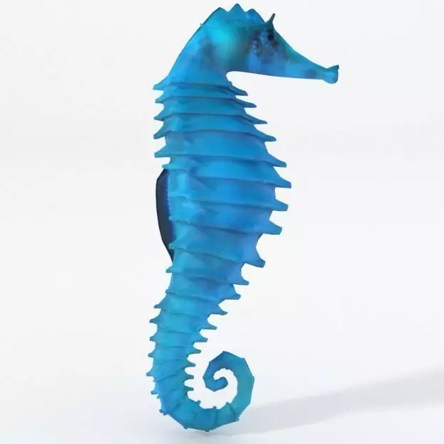 Seahorse Low-poly 3D model_0