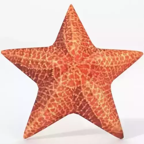 Starfish Low-poly 3D model