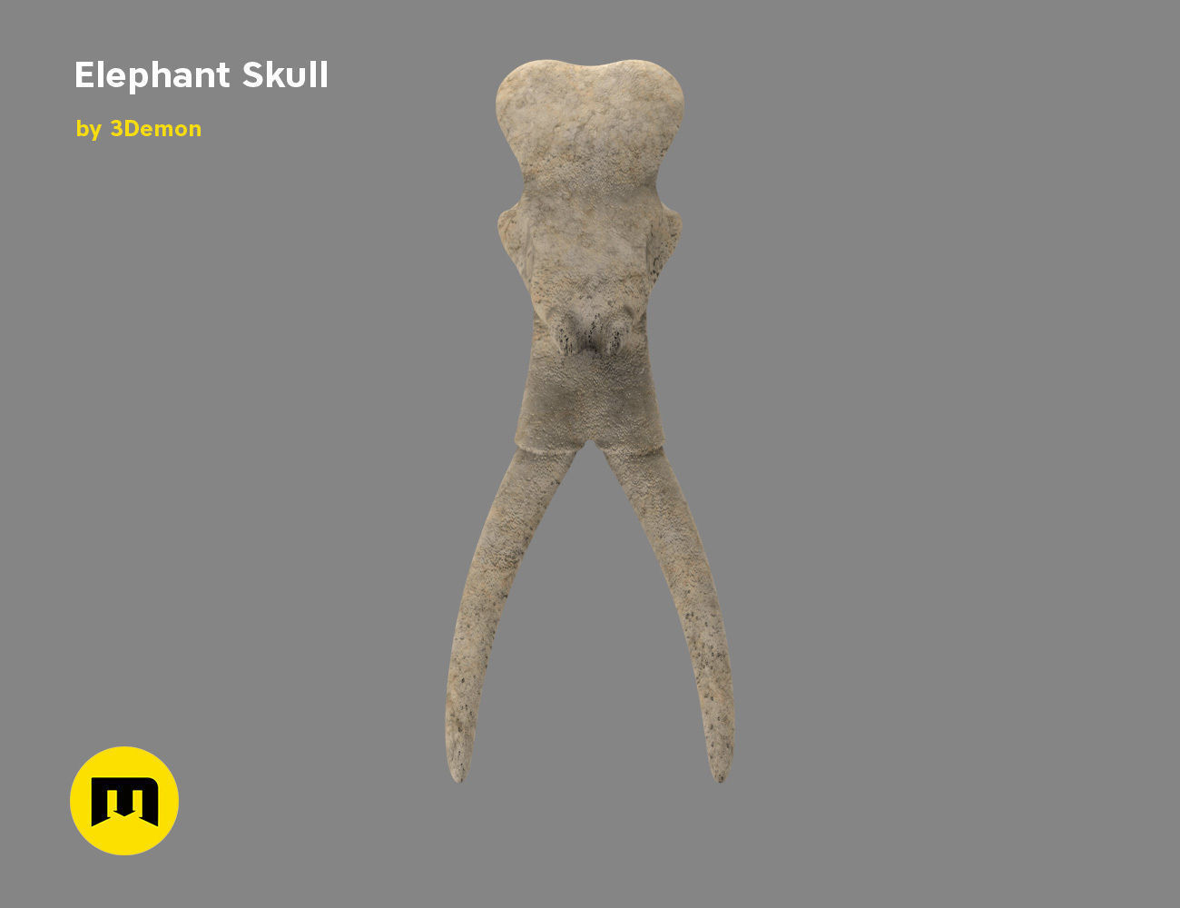 Elephant Skull and Ring Free 3D print model_9