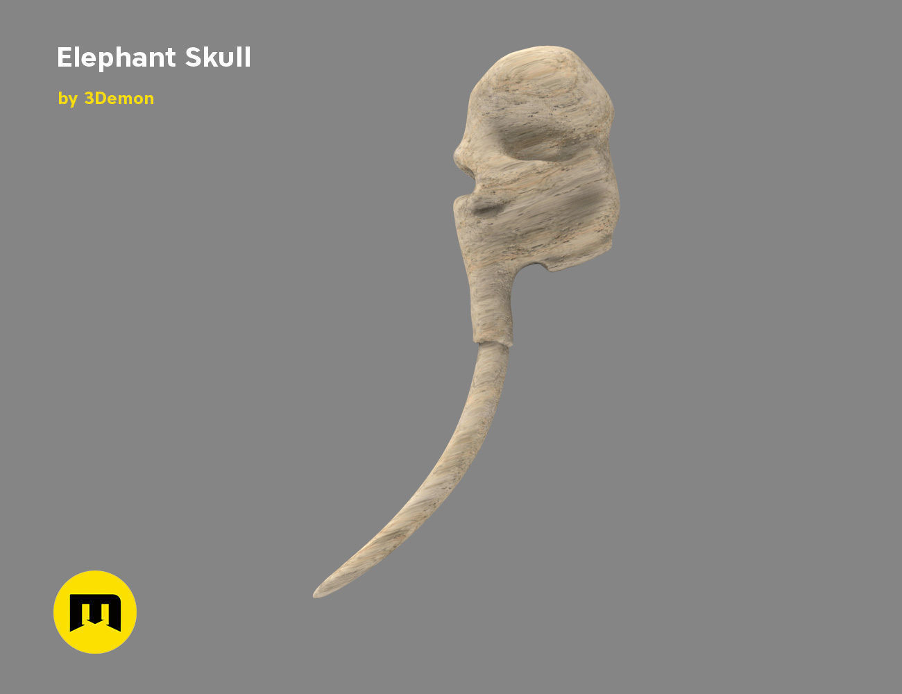 Elephant Skull and Ring Free 3D print model_11