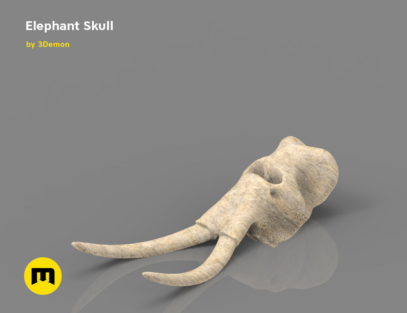 Elephant Skull and Ring Free 3D print model_6
