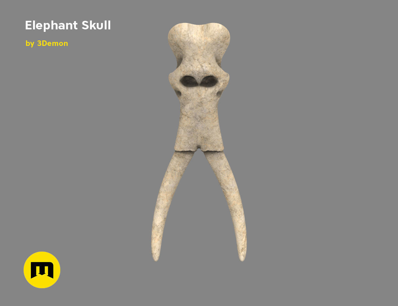 Elephant Skull and Ring Free 3D print model_8