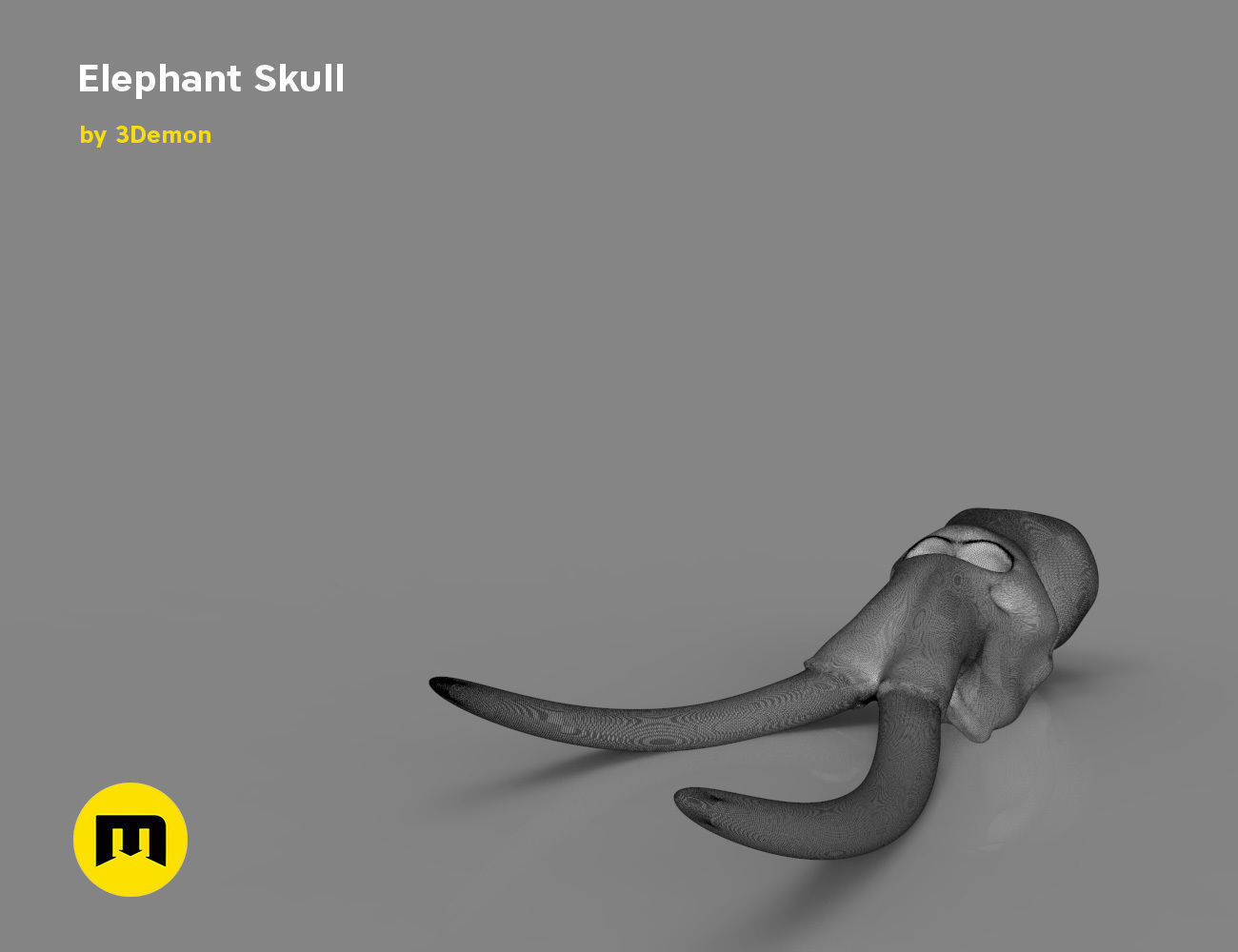 Elephant Skull and Ring Free 3D print model_19