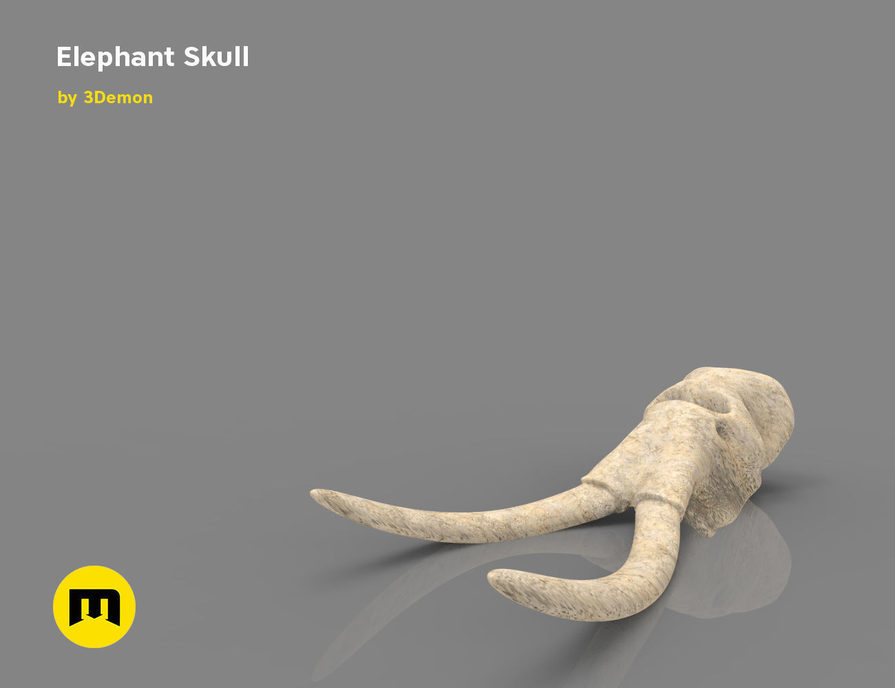 Elephant Skull and Ring Free 3D print model_12