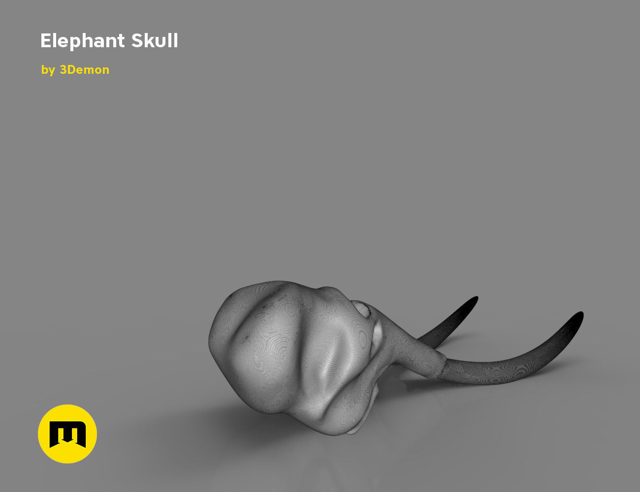 Elephant Skull and Ring Free 3D print model_14
